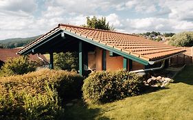 Holiday Home With Whirlpool And Sauna In Viechtach